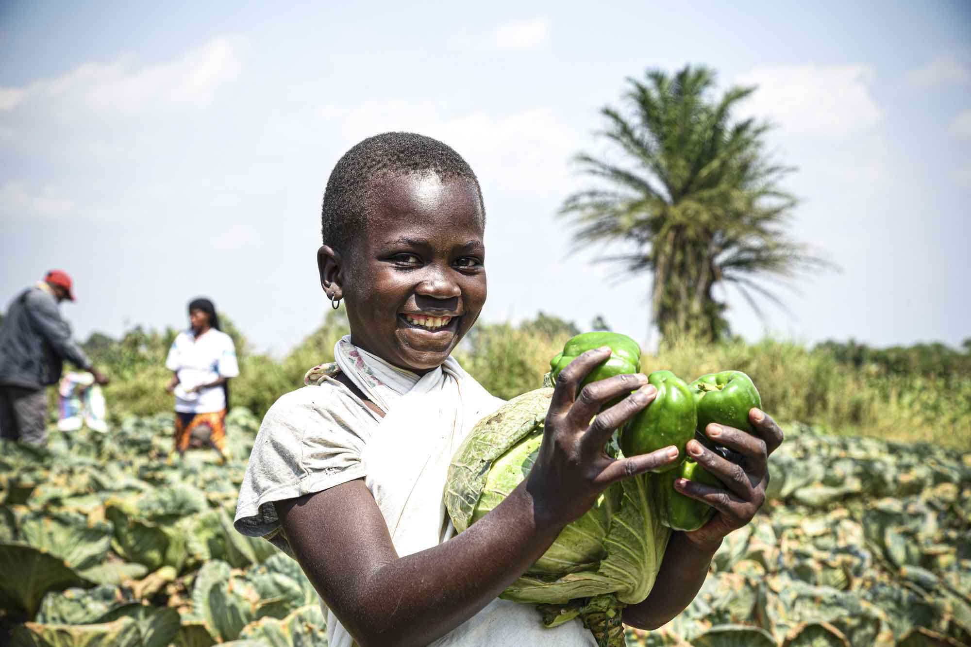A young girl smiles as she harvests green peppers and cabbage from a field.
