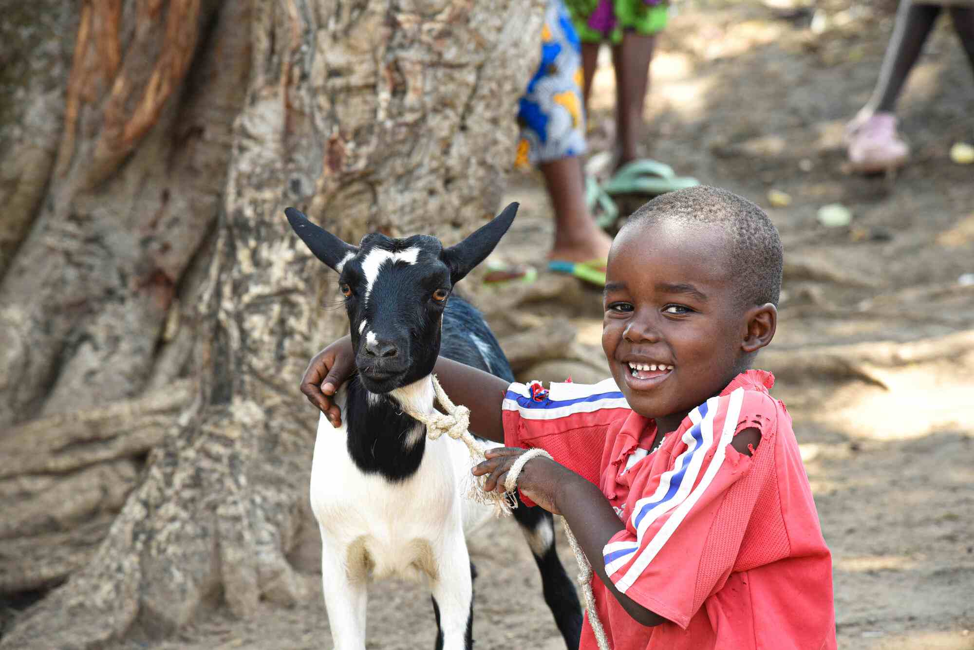 In the Democratic Republic of the Congo, 5-year-old Christian smiles with his families goat. His mother, Safi, is a farmer in the region on Binza. She received a goat through World Vision to bolster her livestock stock, which helps her to meet the basic needs of her household. 