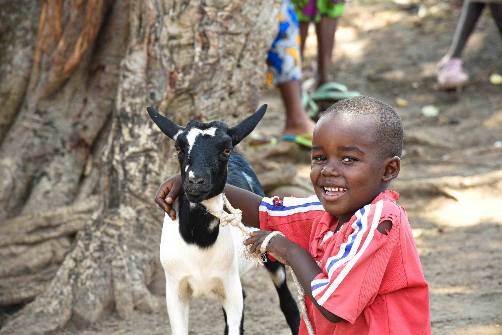 In the Democratic Republic of the Congo, 5-year-old Christian smiles with his families goat. His mother, Safi, is a farmer in the region on Binza. She received a goat through World Vision to bolster her livestock stock, which helps her to meet the basic needs of her household.