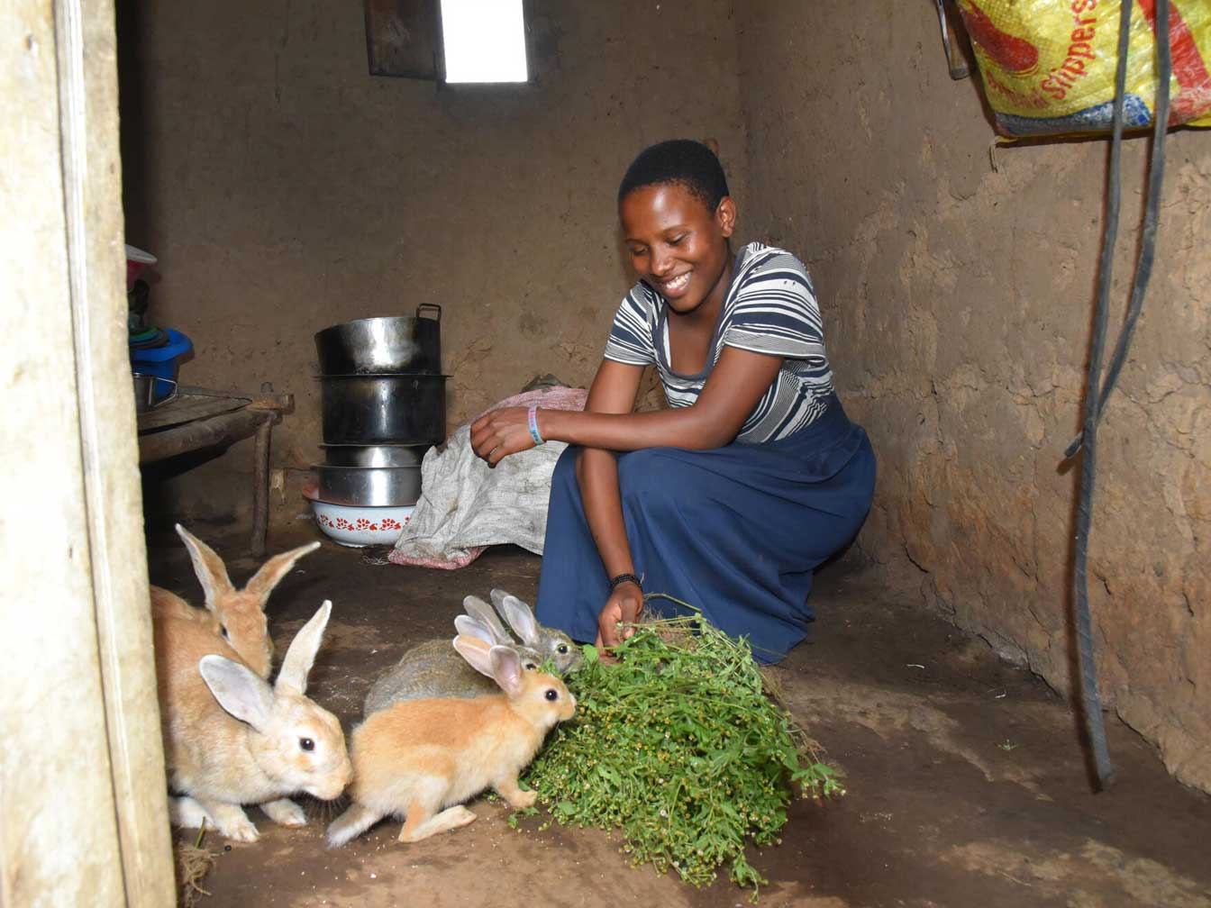A woman feeding vegetables to a group of rabbits, inside a home.