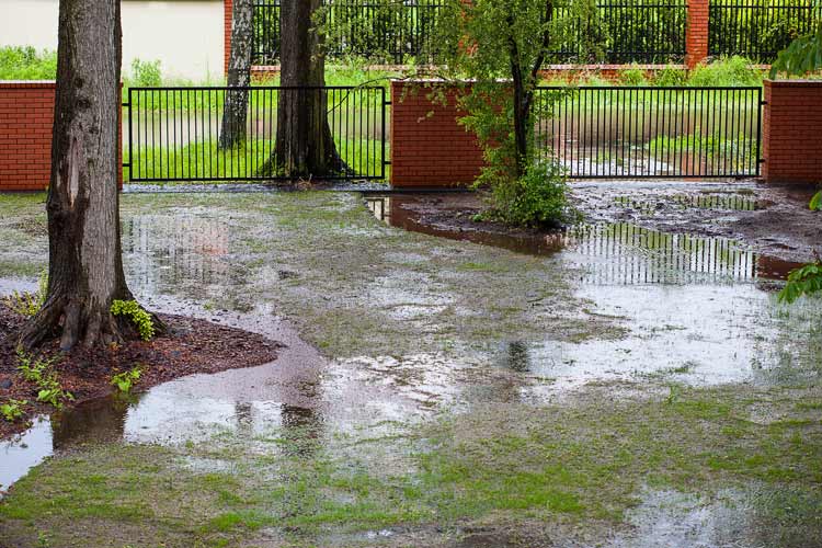 Do I need flood insurance in Mississippi