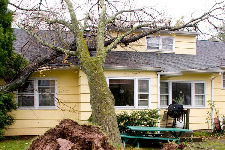 Does Homeowners Insurance Cover Roof Damage After a Storm In Tennessee