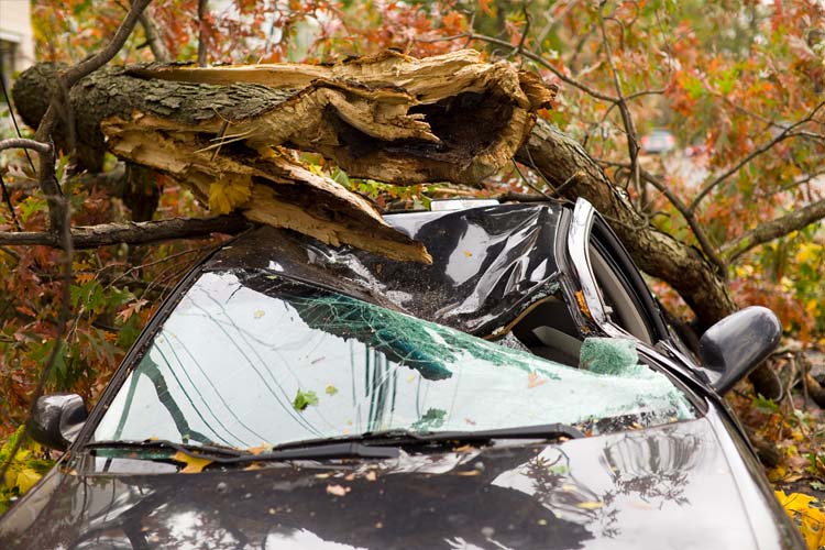 Does full coverage car insurance cover hurricane damage in South Carolina