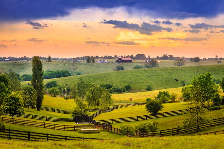 What is the average cost of farm insurance in Tennessee