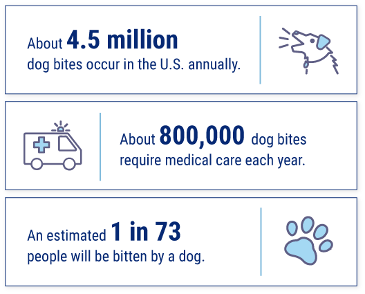 How likely is a dog bite?