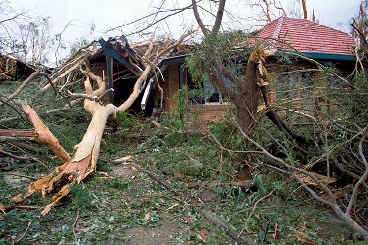 How to file a claim for storm damage in Tennessee