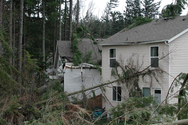 Does homeowners insurance cover roof damage after a storm