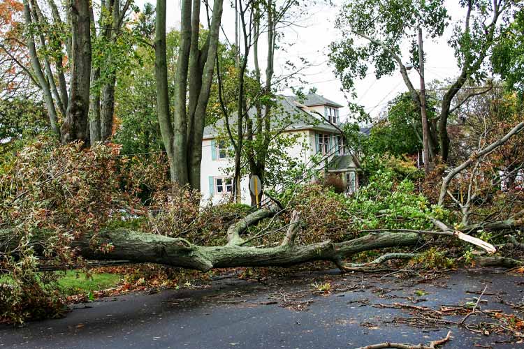 Hurricane damages - NJ
