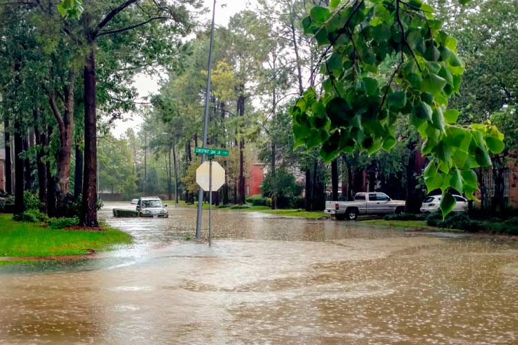 Flooded Suburban Kentucky street from hurricane. 11 easy steps to buying the best Kentucky flood insurance.