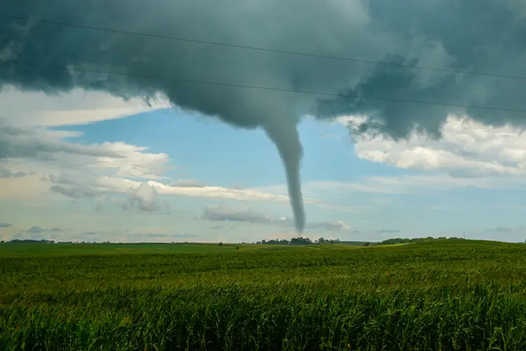 Tornado dropping into a cornfield. Is Tornado Insurance Worth it in Illinois?
