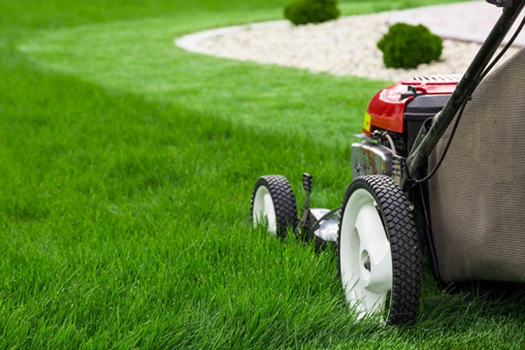 How much does insurance cost for a lawn care business in Florida