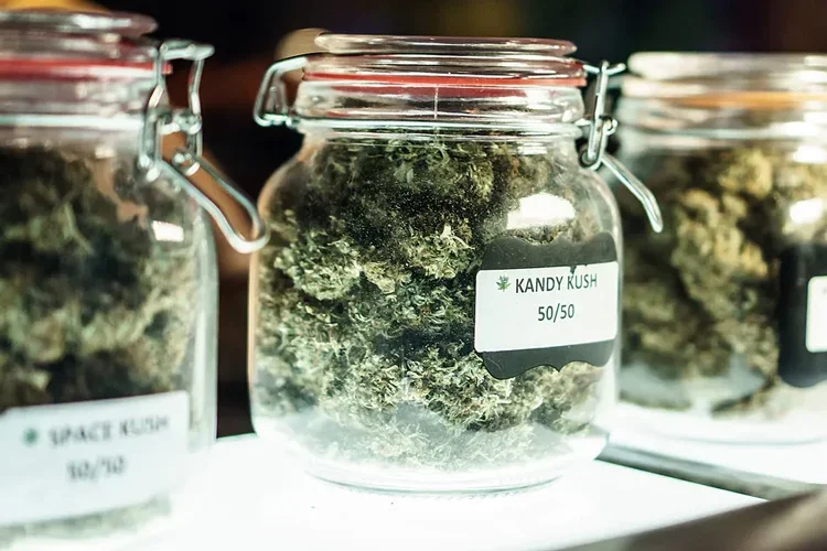 Jars Of Cannabis Flowers at Dispensary. Find Cannabis Dispensary Insurance. 