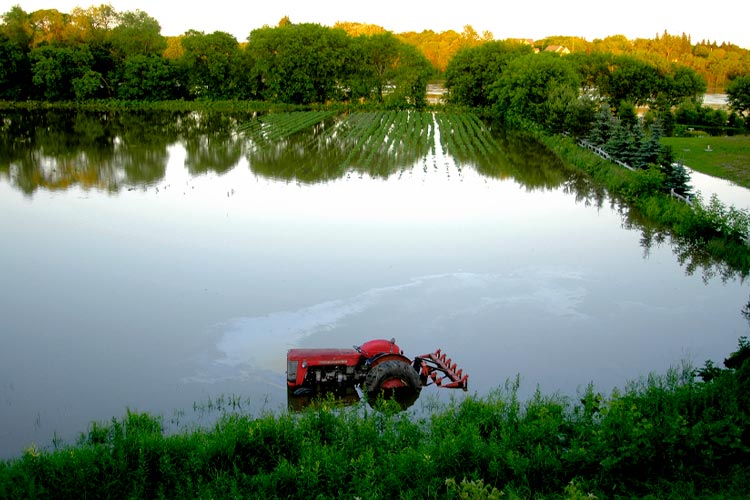 Does Crop Insurance Cover Flooding in Illinois