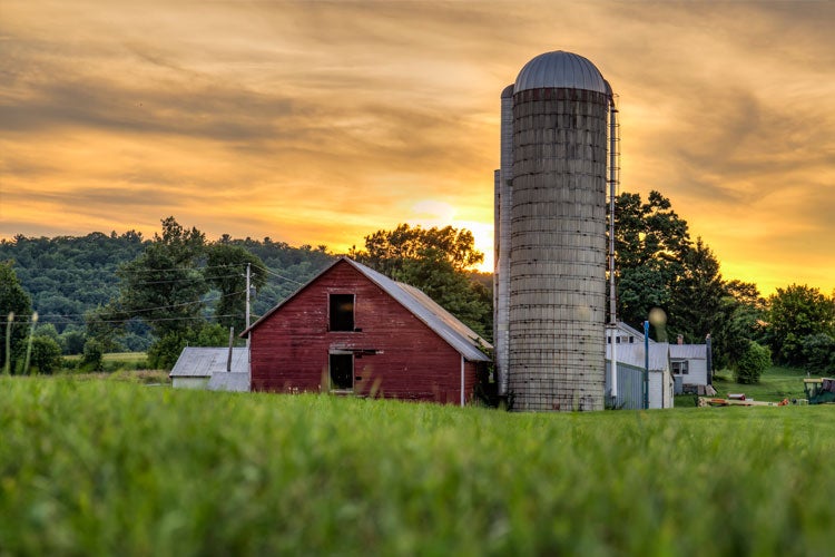 Average Cost of Farm Insurance in Illinois