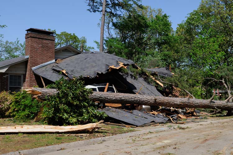Does Homeowners Insurance cover tornado damage in South Carolina
