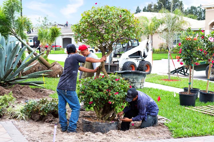 Florida-How much does insurance cost for a landscaping business in Florida