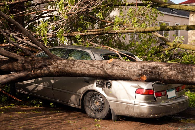 Does Car Insurance Cover Storm Damage in Illinois