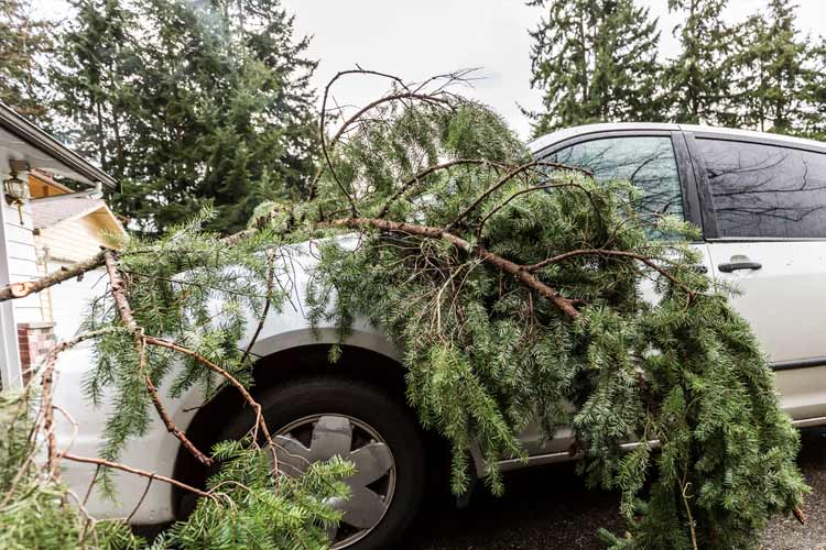 Does car insurance cover storm damage in Tennessee