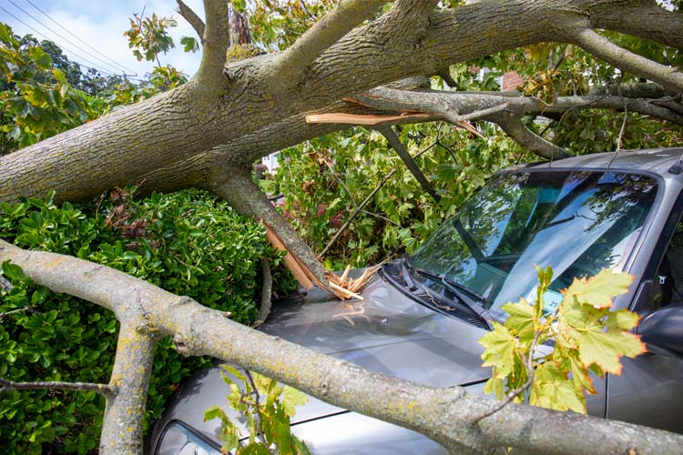 Does car insurance cover tornado damage in Mississippi