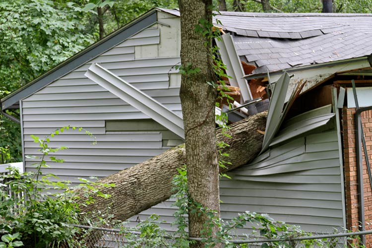 A large oak tree falls on a small house during a summer storm. Who is responsible if a neighbors tree falls on your home in Kentucky?