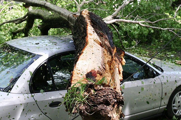 Does Car Insurance Cover Tornado Damage in Kentucky