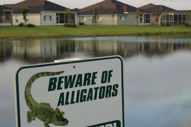 A subdivision in Florida warns of the hungry wild animals in the back yards. Does home insurance cover gator invasion and destruction in Florida?