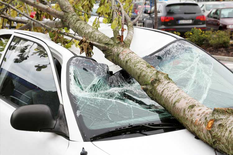 Does Car Insurance Cover Storm Damage in Mississippi