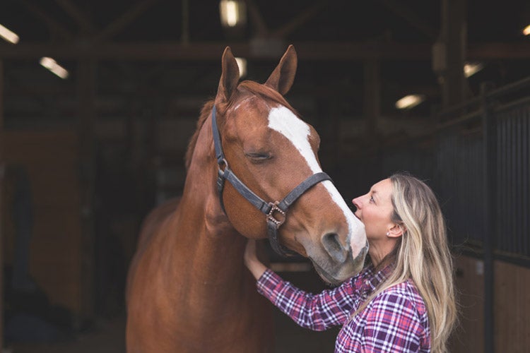 Tennessee Equine Insurance