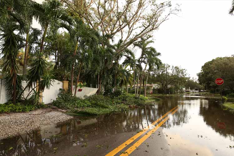 Do I need flood insurance - FL
