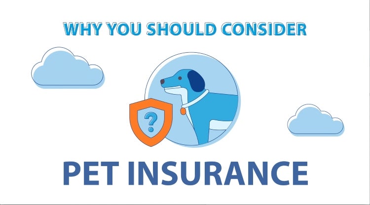 Title slide for video about Pet Insurance in New Jersey
