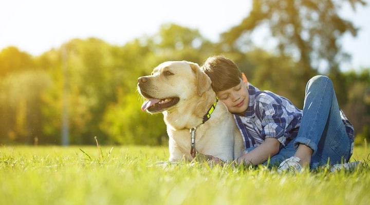 Frequent How quickly do tapeworms grow in dogs?