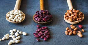 Beans, whole grains and nuts – the secret to longer life