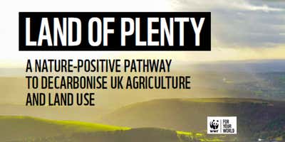 WWF 2022 report: the urgent need return UK land back to nature