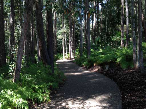 Maroochy regional bushland botanic garden