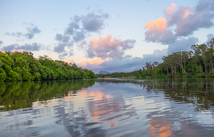 Maroochy River canoe trail