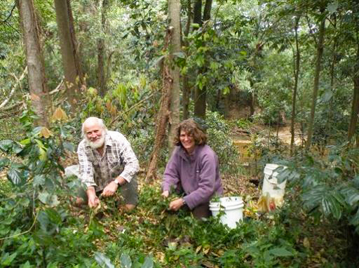 Environment Levy Funding