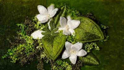 Sunshine Coast Embroiderers' Guild