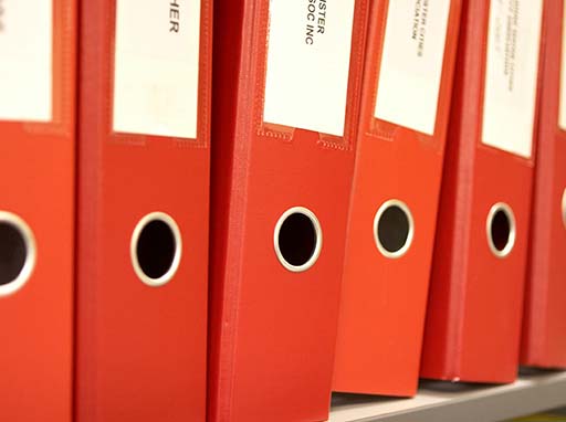 Organisation and governance