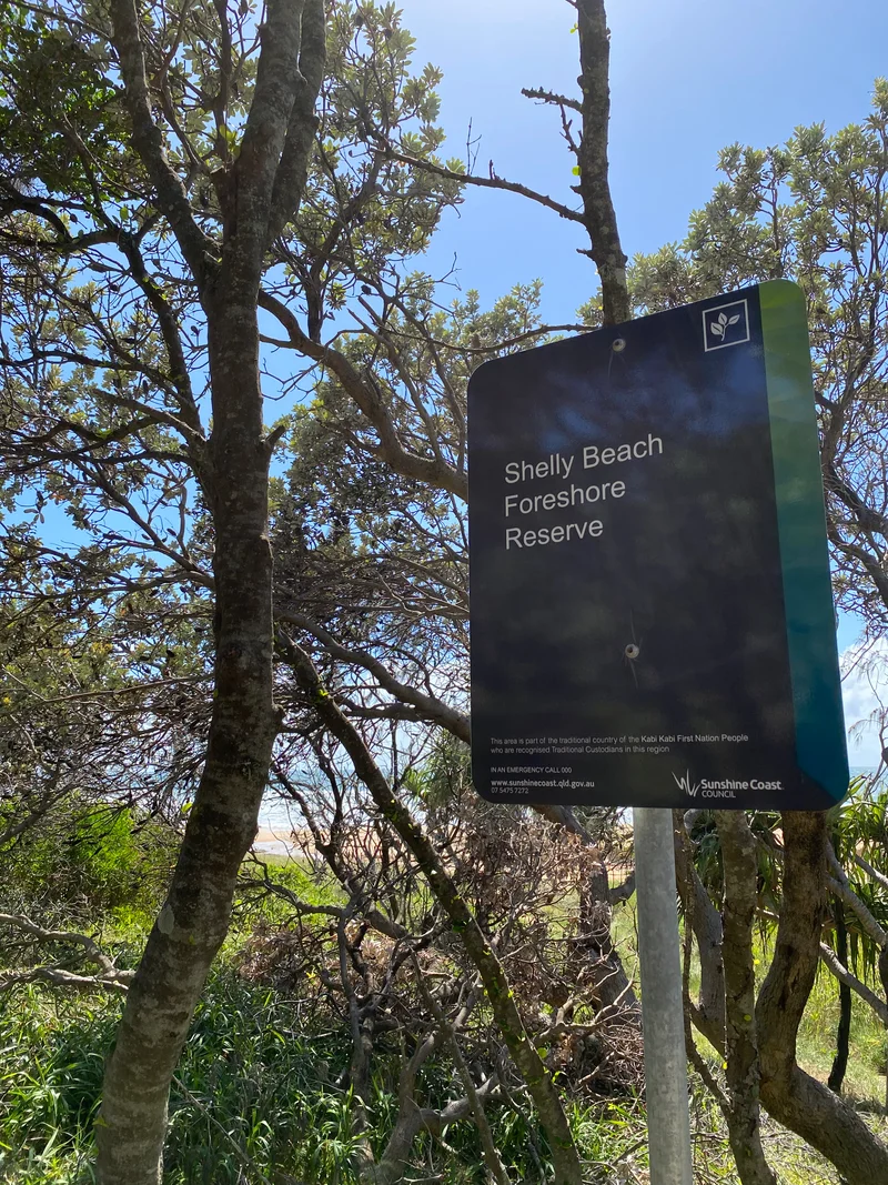 North Shelly Beach pilot project