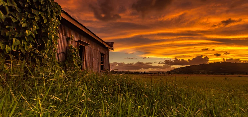 Yandina sunset 
Photo credit: G. Berg