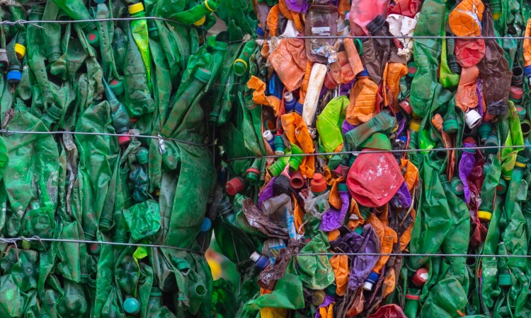 Environmental Sustainability Benchmarking