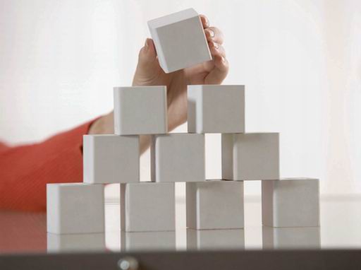 Organisation structure