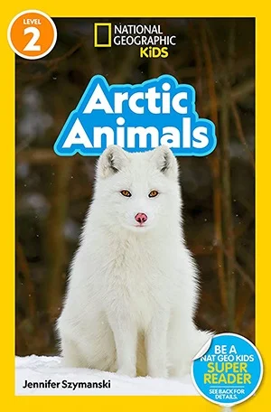 Arctic animals
