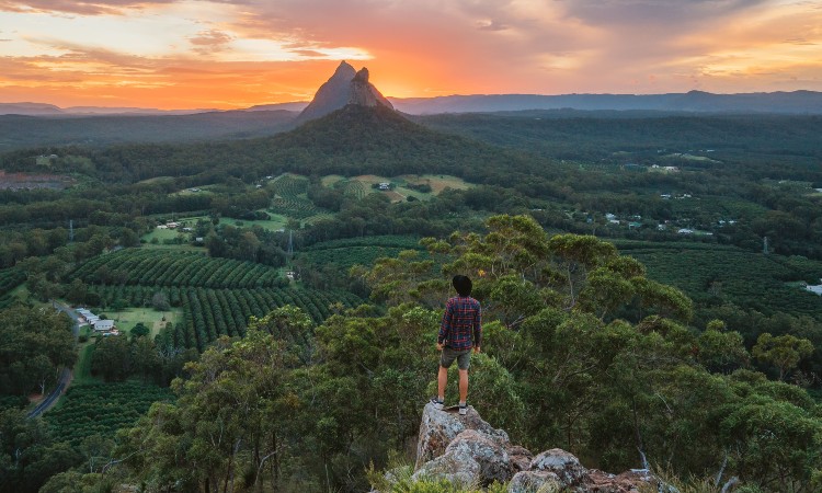 Council takes out first place in sustainability award