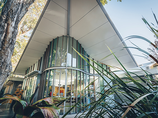 What is the role of a regional gallery?