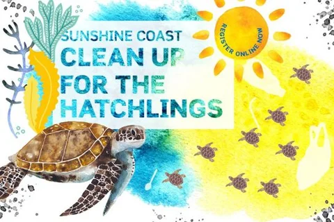 Clean up for the Hatchlings