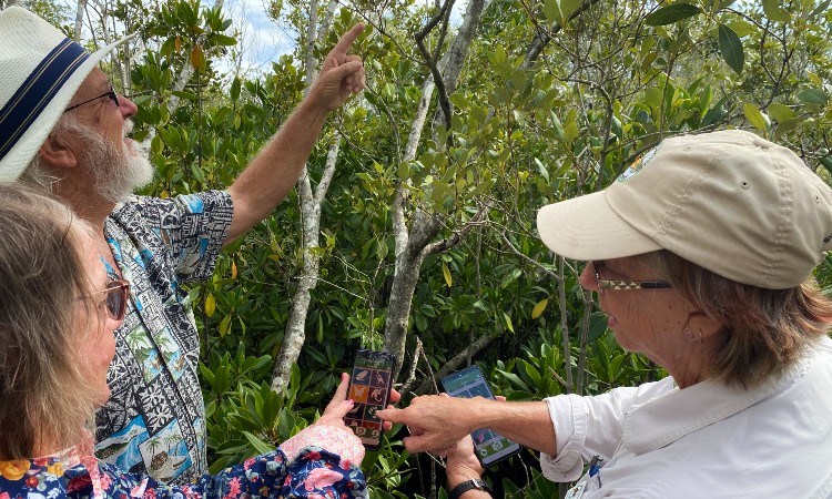Citizen scientists hit Coast wetland to help ClimateWatch