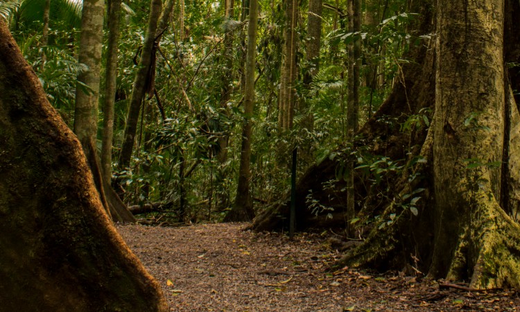 Biodiversity
