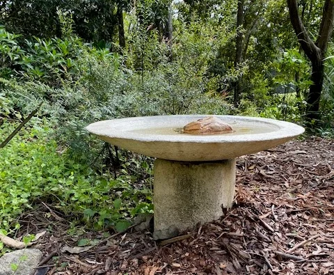 Build your own Sandcast Birdbath