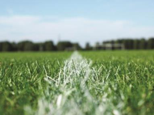 Sports Field Maintenance Funding